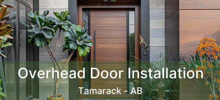  Overhead Door Installation Tamarack - AB