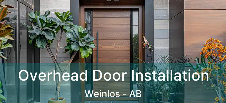  Overhead Door Installation Weinlos - AB
