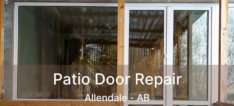  Patio Door Repair Allendale - AB