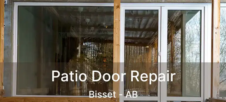  Patio Door Repair Bisset - AB