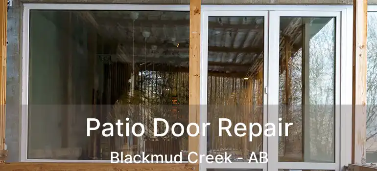  Patio Door Repair Blackmud Creek - AB