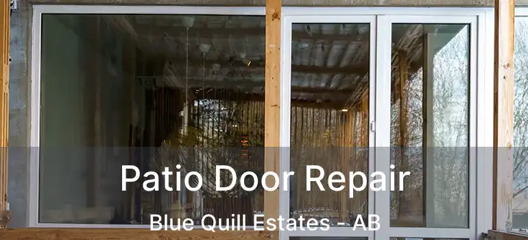  Patio Door Repair Blue Quill Estates - AB