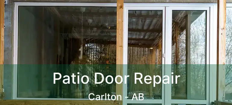  Patio Door Repair Carlton - AB