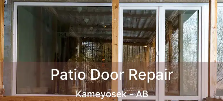  Patio Door Repair Kameyosek - AB