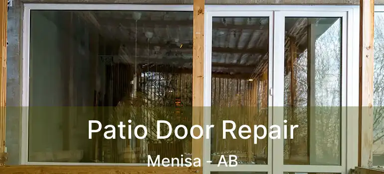  Patio Door Repair Menisa - AB