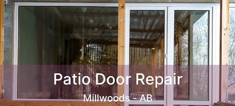  Patio Door Repair Millwoods - AB