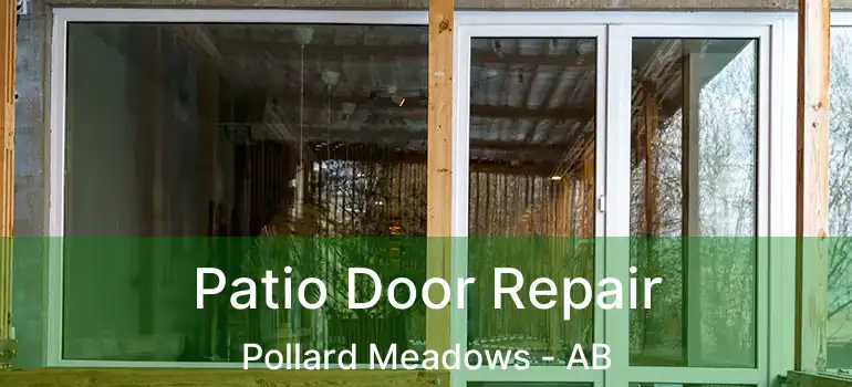  Patio Door Repair Pollard Meadows - AB
