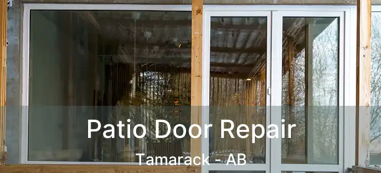  Patio Door Repair Tamarack - AB
