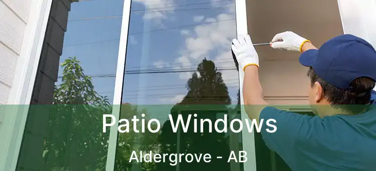  Patio Windows Aldergrove - AB