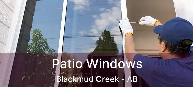  Patio Windows Blackmud Creek - AB