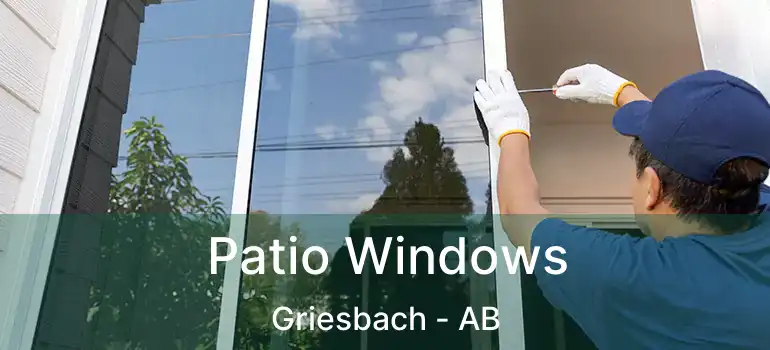  Patio Windows Griesbach - AB
