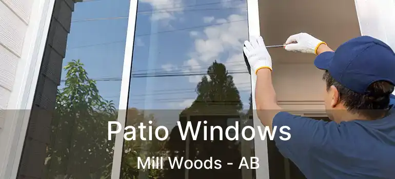  Patio Windows Mill Woods - AB