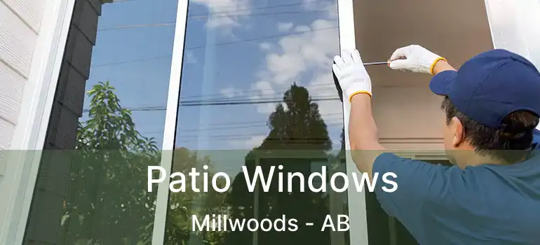 Patio Windows Millwoods - AB