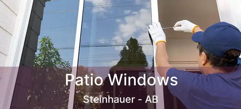  Patio Windows Steinhauer - AB