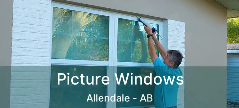  Picture Windows Allendale - AB