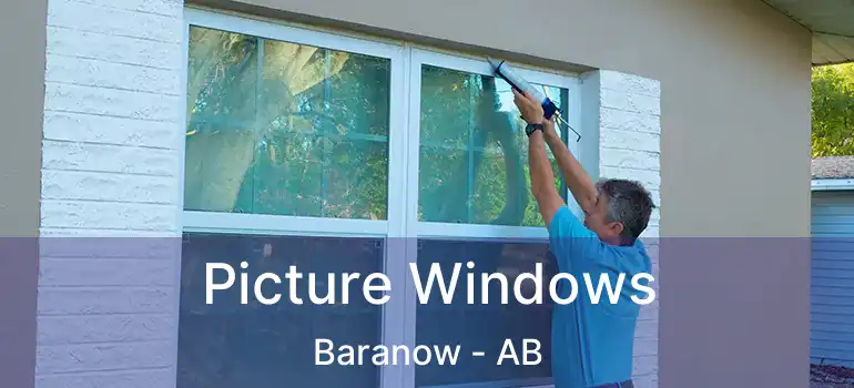  Picture Windows Baranow - AB
