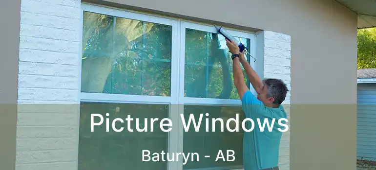  Picture Windows Baturyn - AB