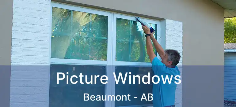  Picture Windows Beaumont - AB