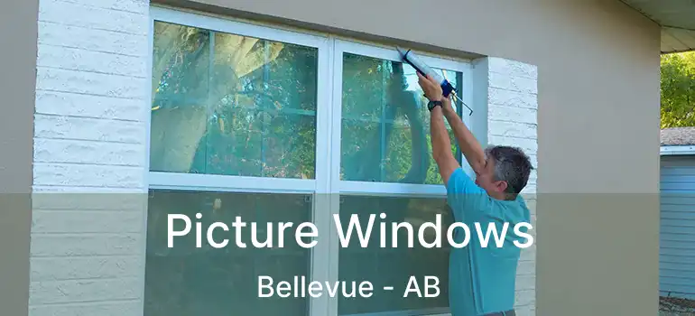  Picture Windows Bellevue - AB