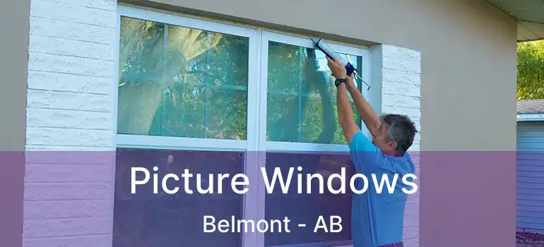  Picture Windows Belmont - AB