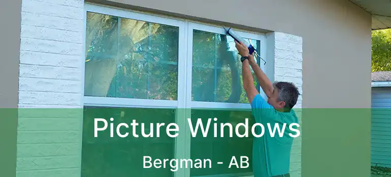  Picture Windows Bergman - AB