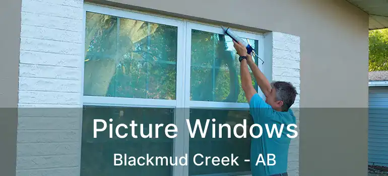  Picture Windows Blackmud Creek - AB