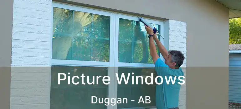  Picture Windows Duggan - AB