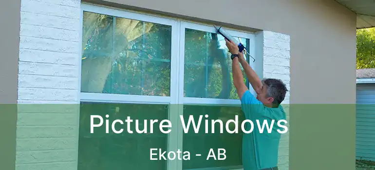  Picture Windows Ekota - AB