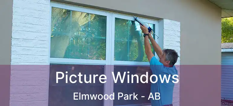  Picture Windows Elmwood Park - AB