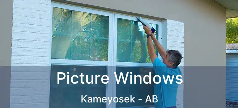  Picture Windows Kameyosek - AB