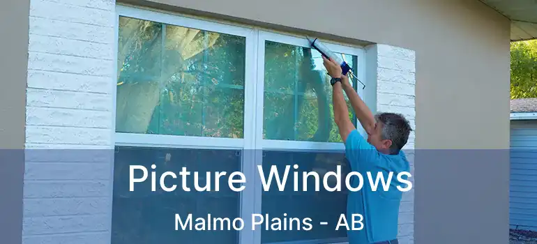  Picture Windows Malmo Plains - AB