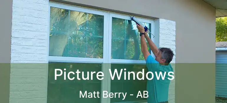 Picture Windows Matt Berry - AB