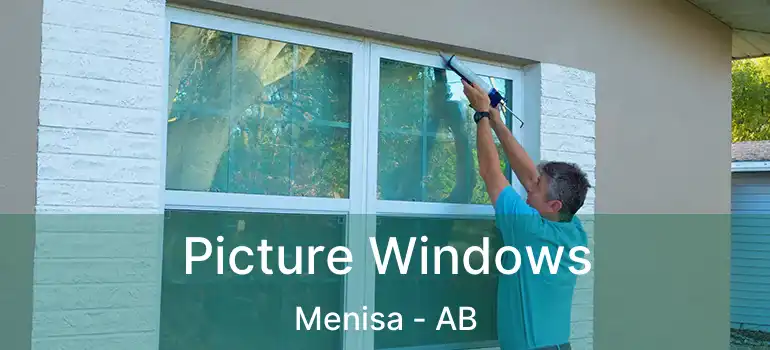  Picture Windows Menisa - AB