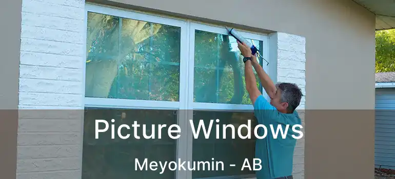  Picture Windows Meyokumin - AB