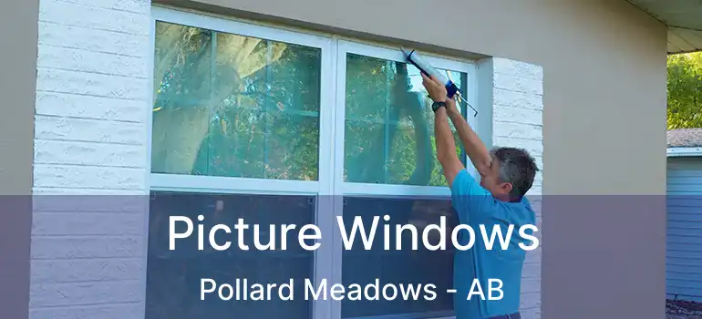  Picture Windows Pollard Meadows - AB