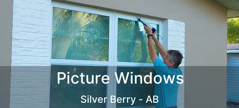  Picture Windows Silver Berry - AB