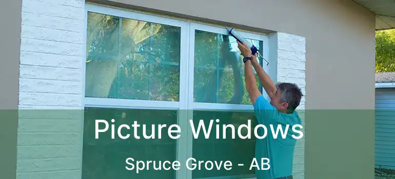  Picture Windows Spruce Grove - AB