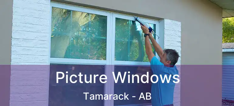  Picture Windows Tamarack - AB