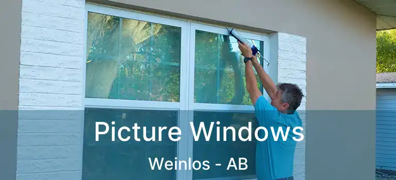  Picture Windows Weinlos - AB