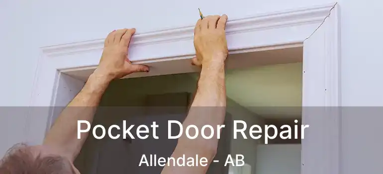  Pocket Door Repair Allendale - AB
