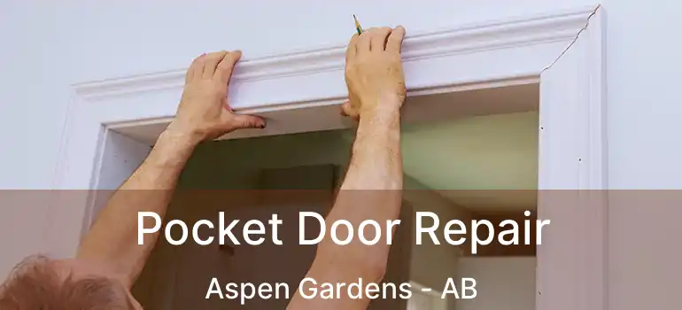  Pocket Door Repair Aspen Gardens - AB