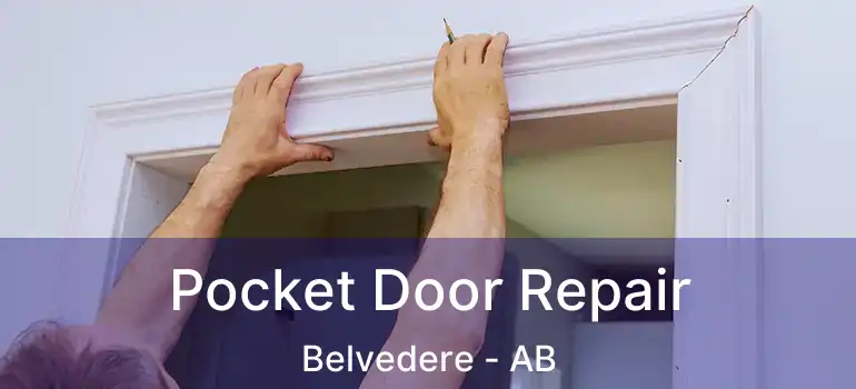  Pocket Door Repair Belvedere - AB
