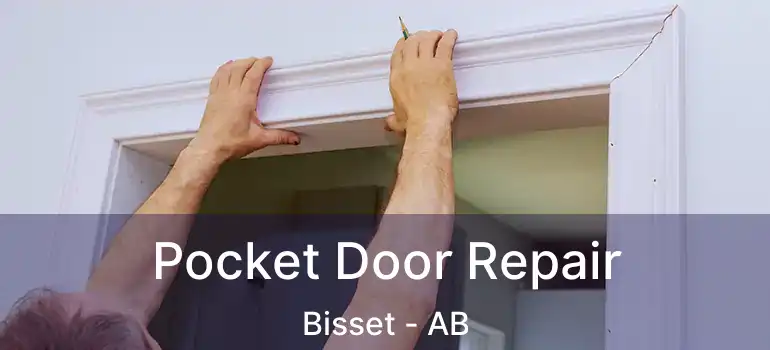  Pocket Door Repair Bisset - AB