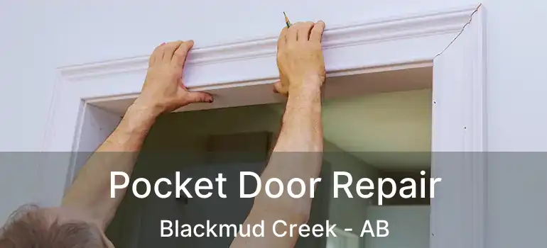  Pocket Door Repair Blackmud Creek - AB