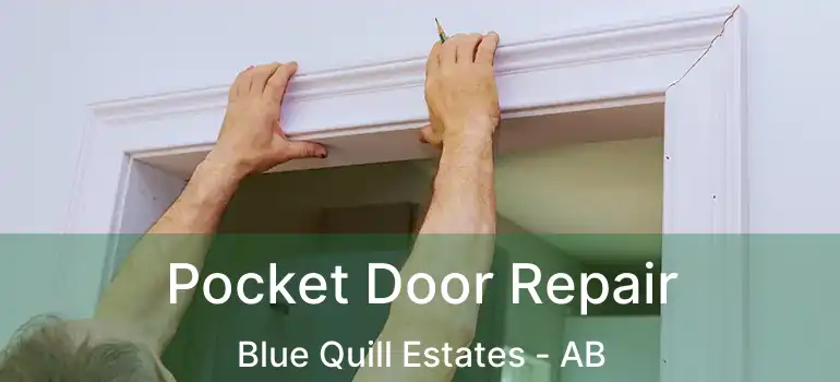  Pocket Door Repair Blue Quill Estates - AB