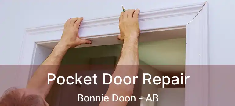  Pocket Door Repair Bonnie Doon - AB