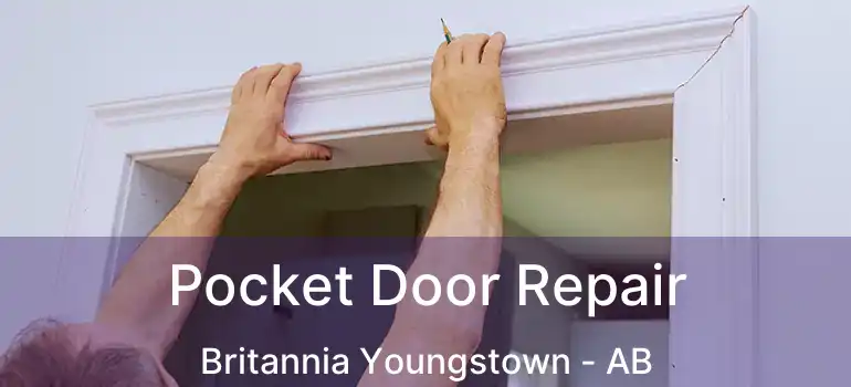  Pocket Door Repair Britannia Youngstown - AB
