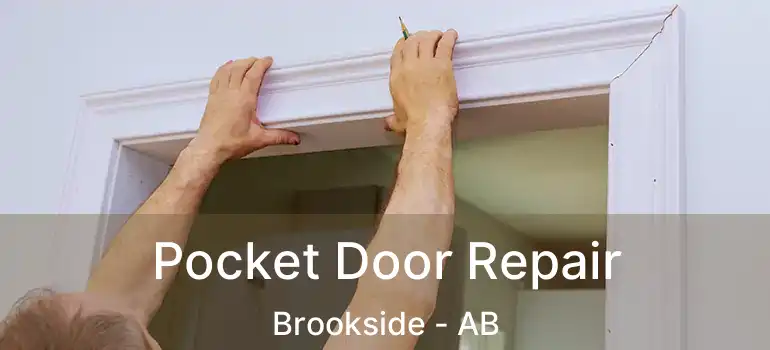  Pocket Door Repair Brookside - AB
