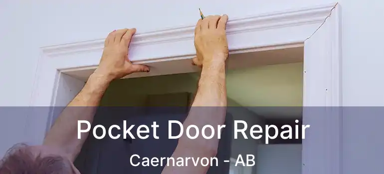  Pocket Door Repair Caernarvon - AB