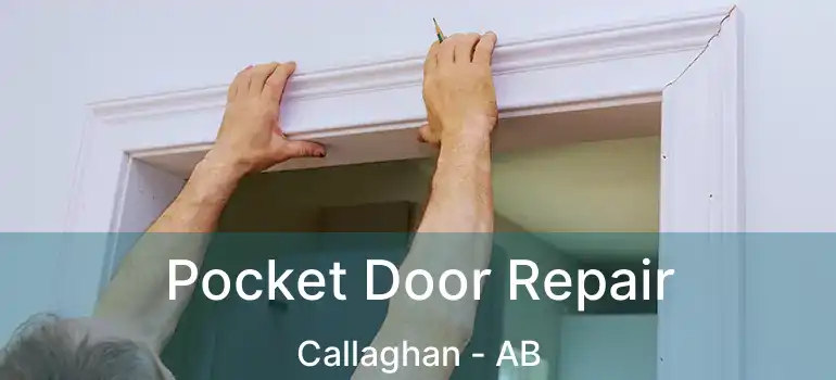  Pocket Door Repair Callaghan - AB